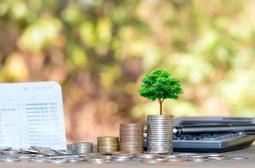 Plant trees on coins and calculators, financial accounting concepts and save money.