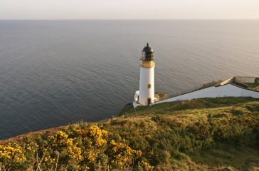 Lighthouse and gorse, Isle of Man