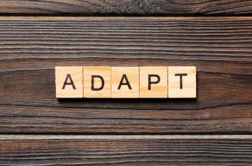 ADAPT word written on wood block. ADAPT text on wooden table for your desing, concept