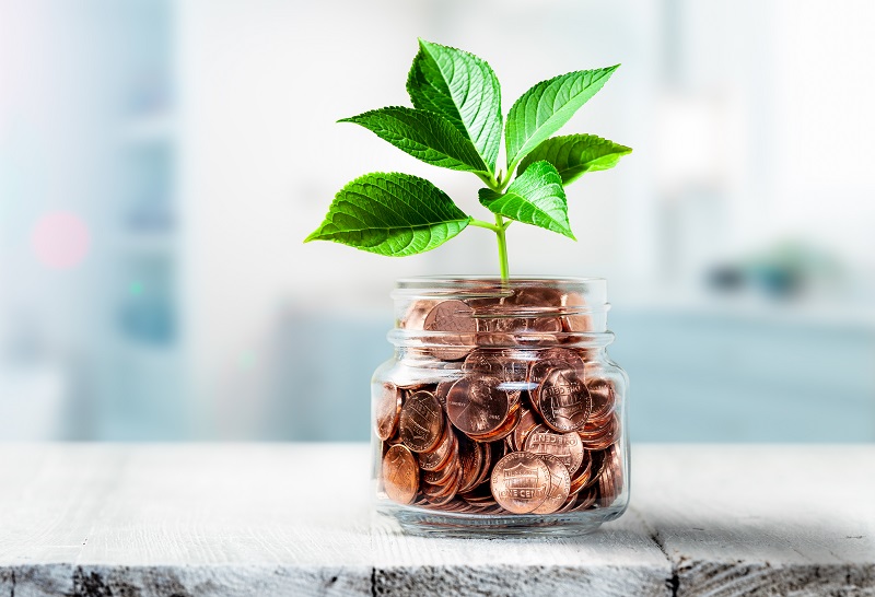 Plant Growing Out Of Coin Jar On Table In Office -  Investing / Business Success Concept