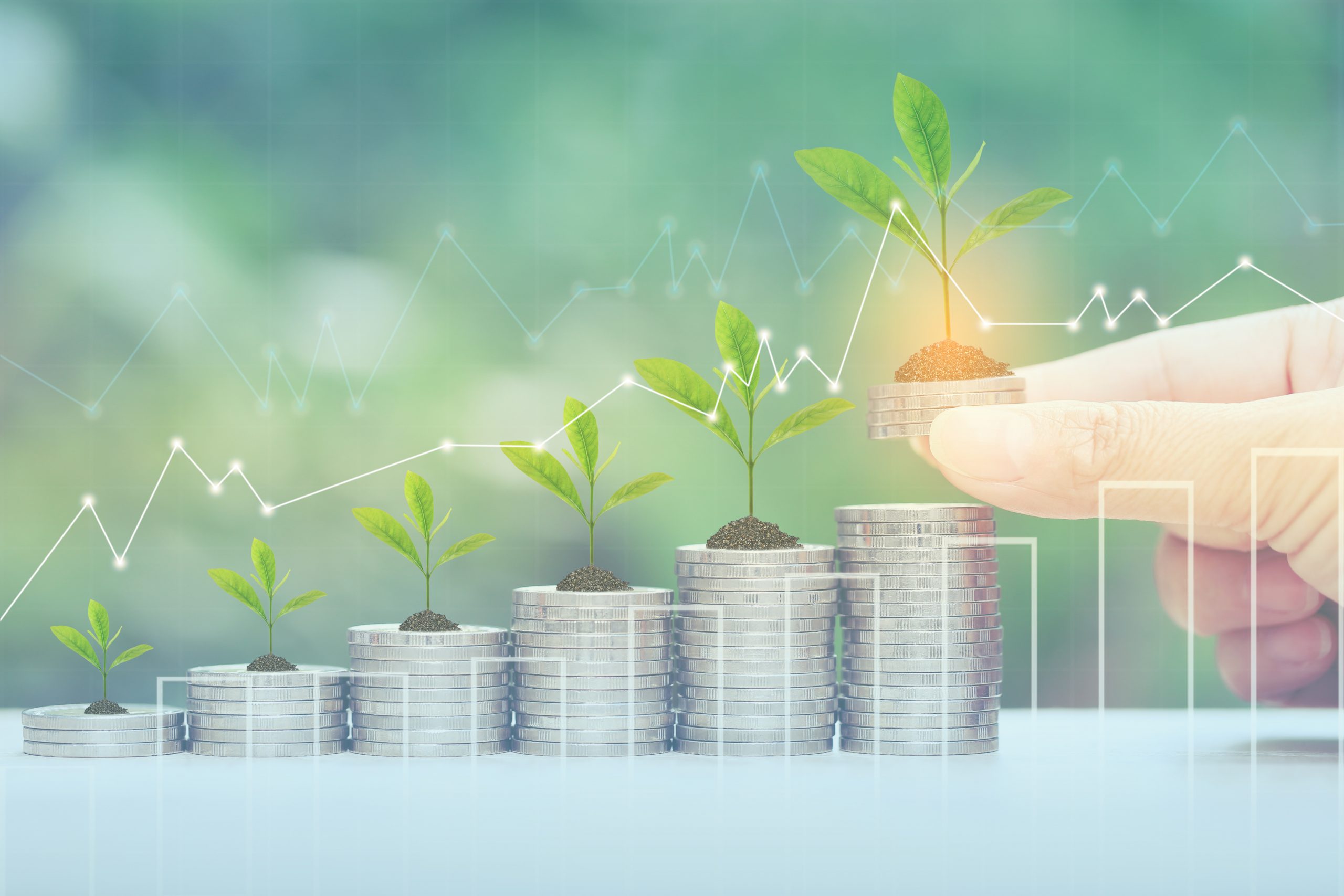 Finance,Woman hand holding plant growing on stack of coins money and graph on natural green background, investment and business concept