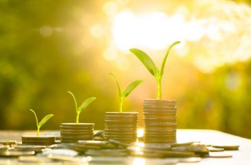 Money growing concept,Business success concept