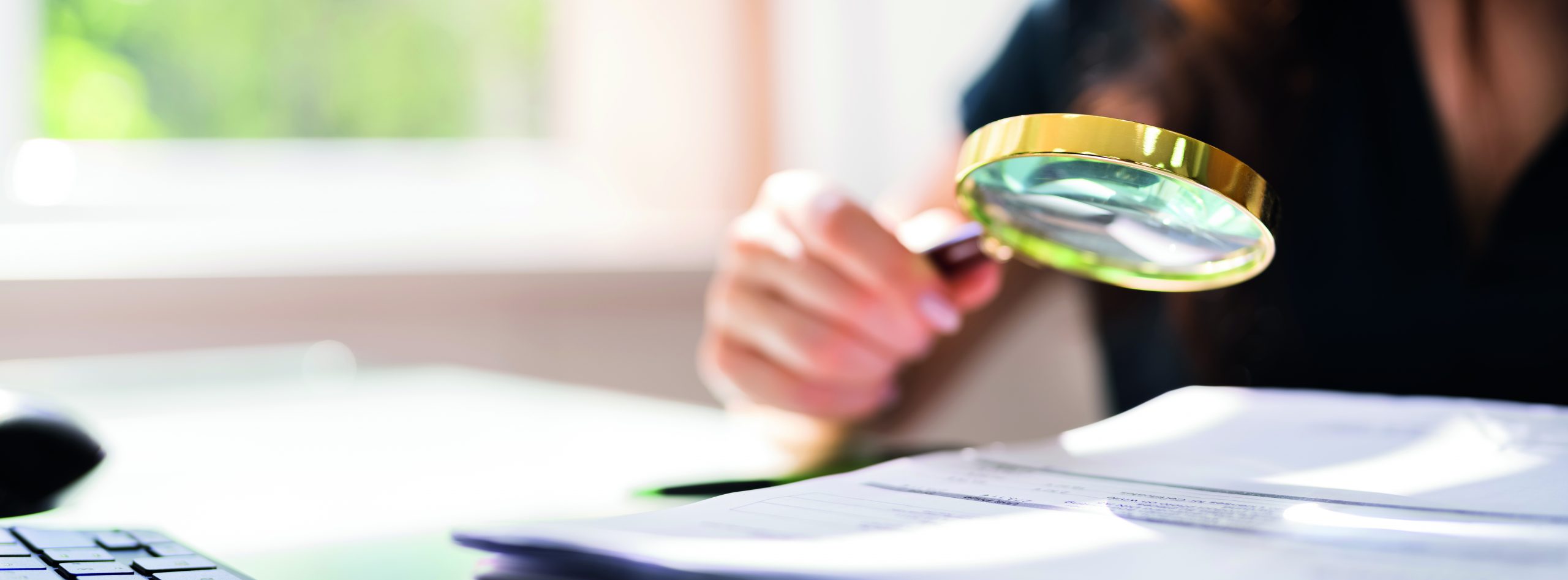 Auditor Investigating Corporate Fraud