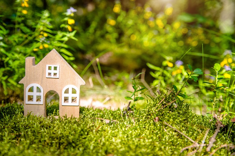 the symbol of the house stands on green moss