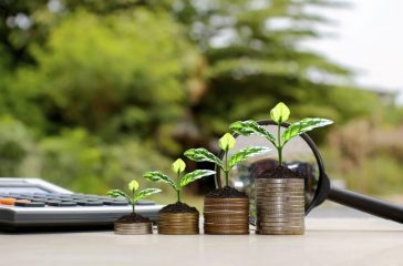 Small tree that grows on a pile of money. Financial investment ideas.
