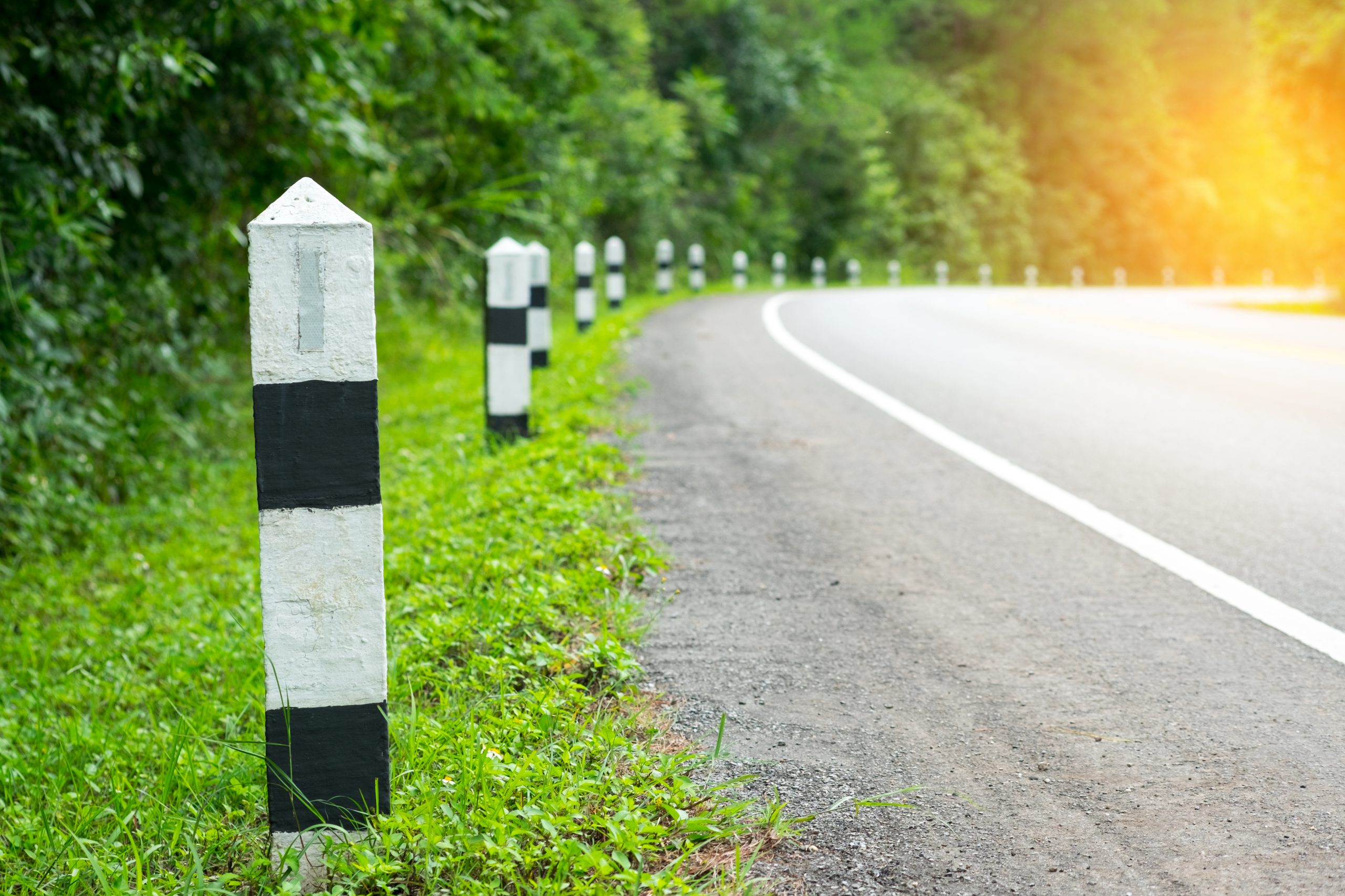 Black and white milestones with green grass roadside, Trees road
