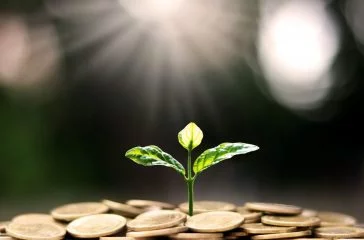 Plant a tree on coin pile with business ideas for finance, savin