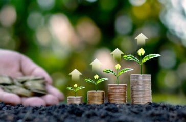 Small green trees growing on coin piles including rising arrows,
