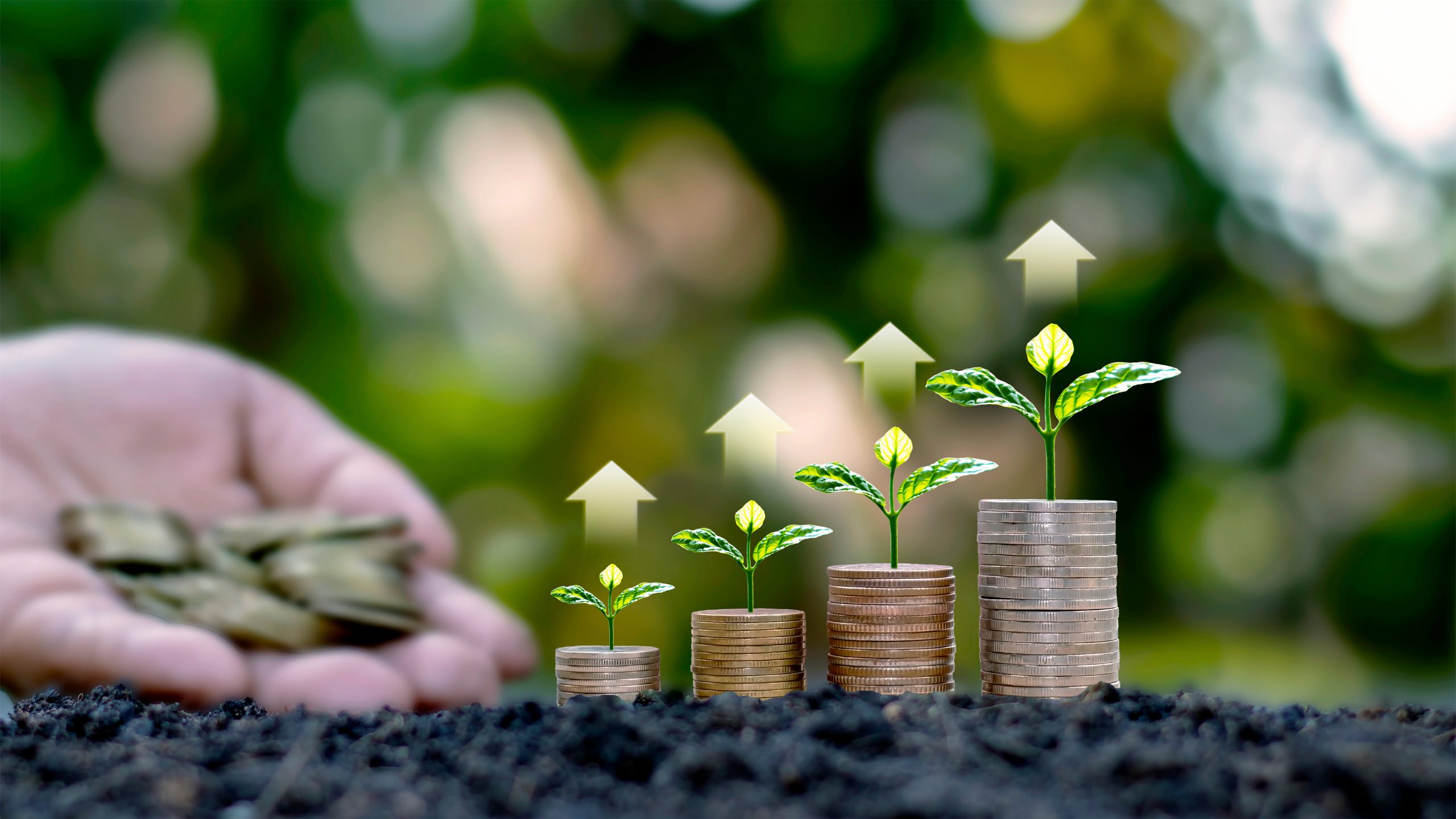 Small green trees growing on coin piles including rising arrows,