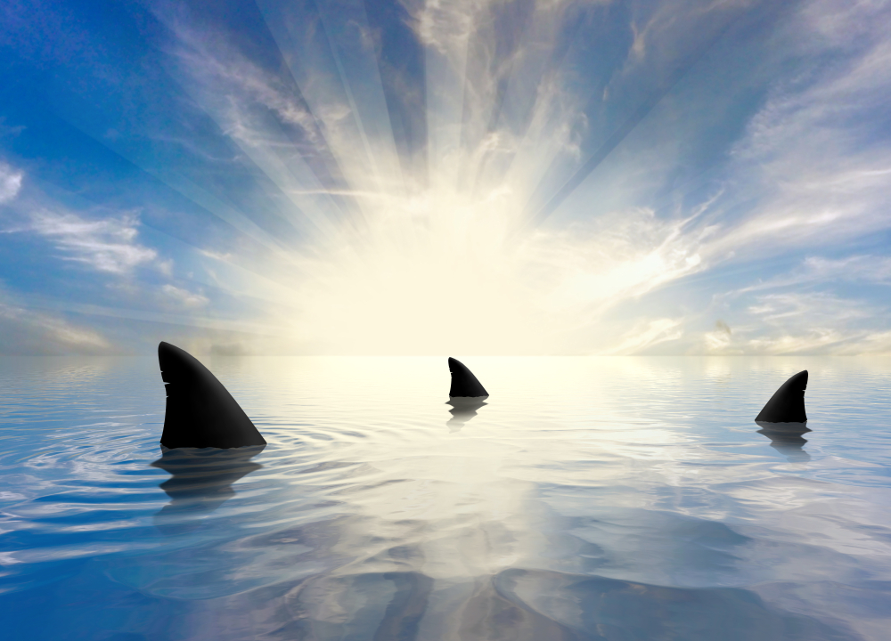 loan sharks
