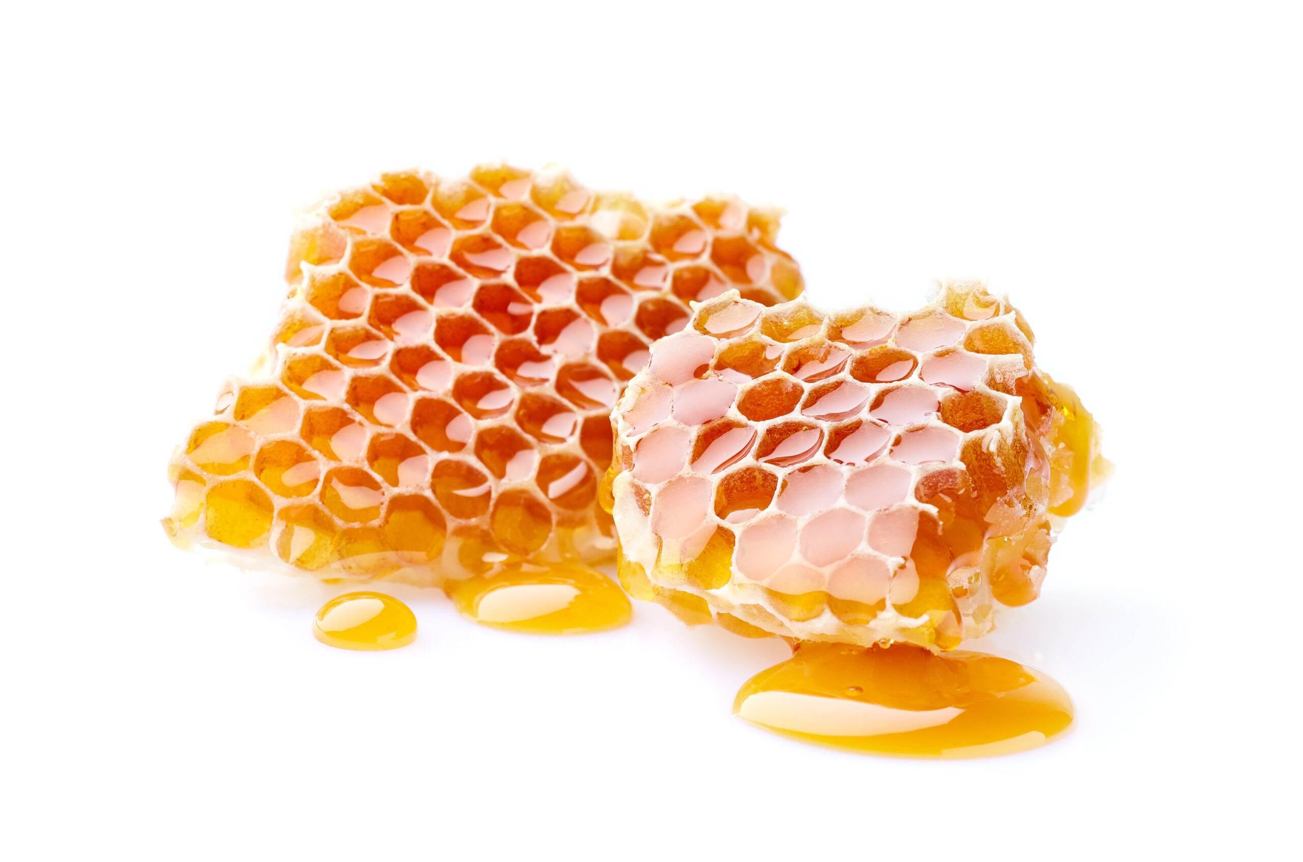 Honeycomb Investment Trust