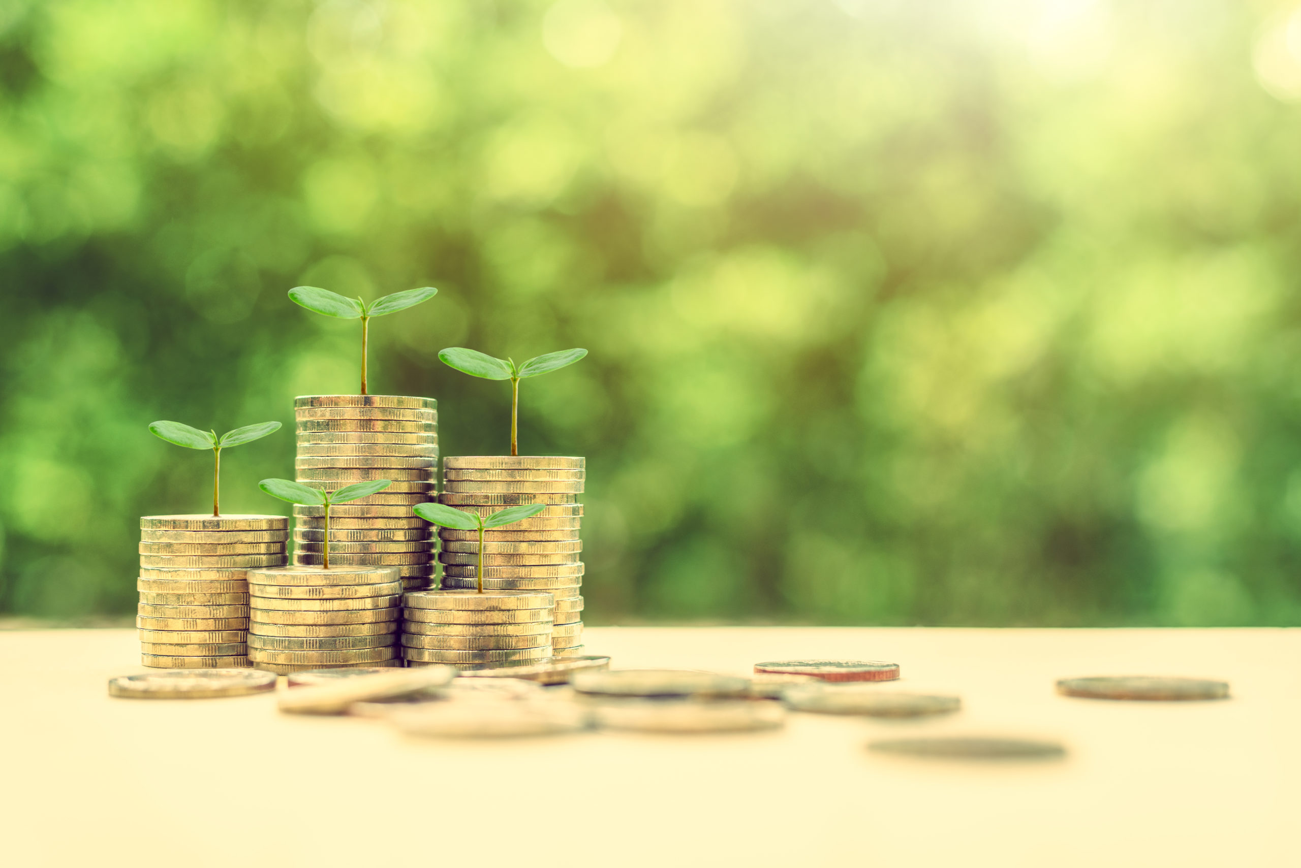 Growth Lending