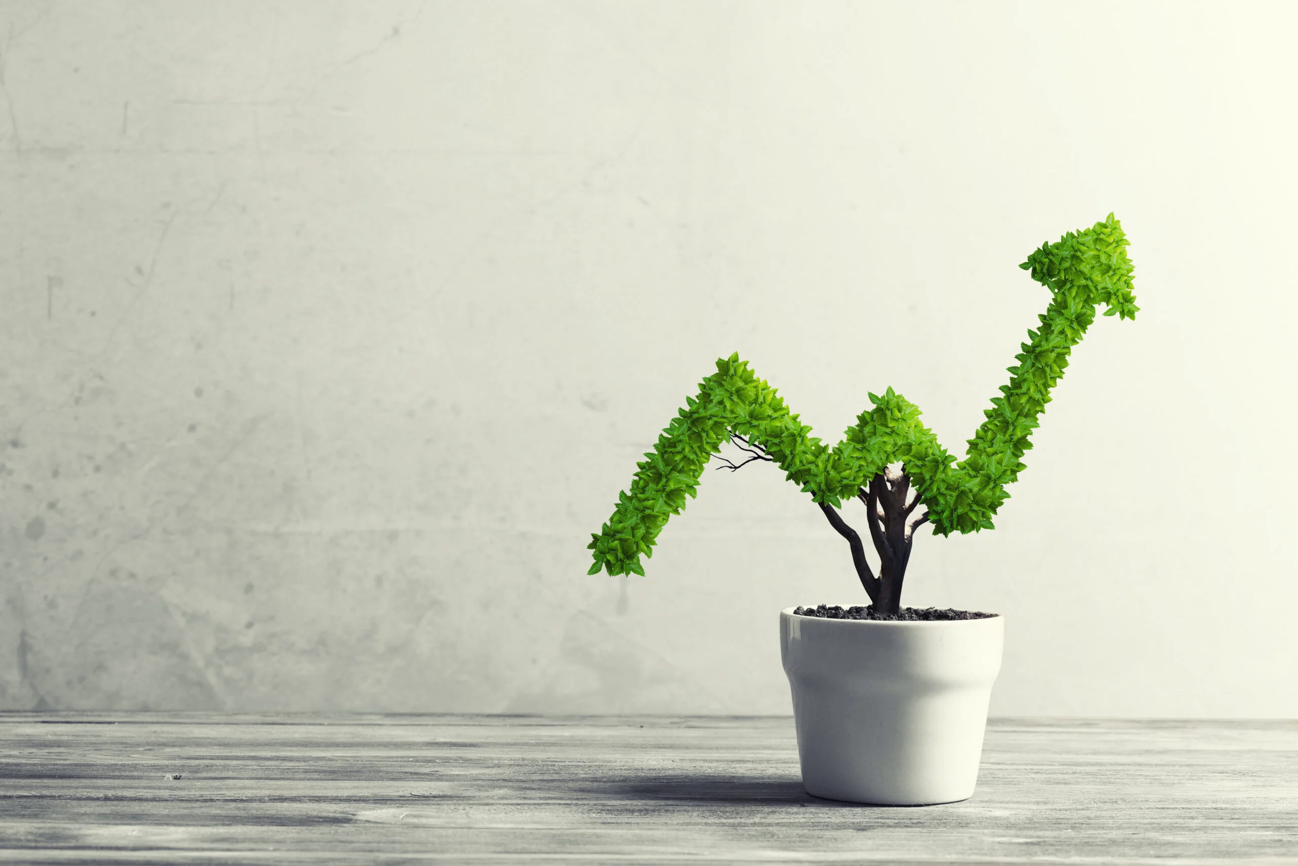 Bondora increases Go & Grow limit