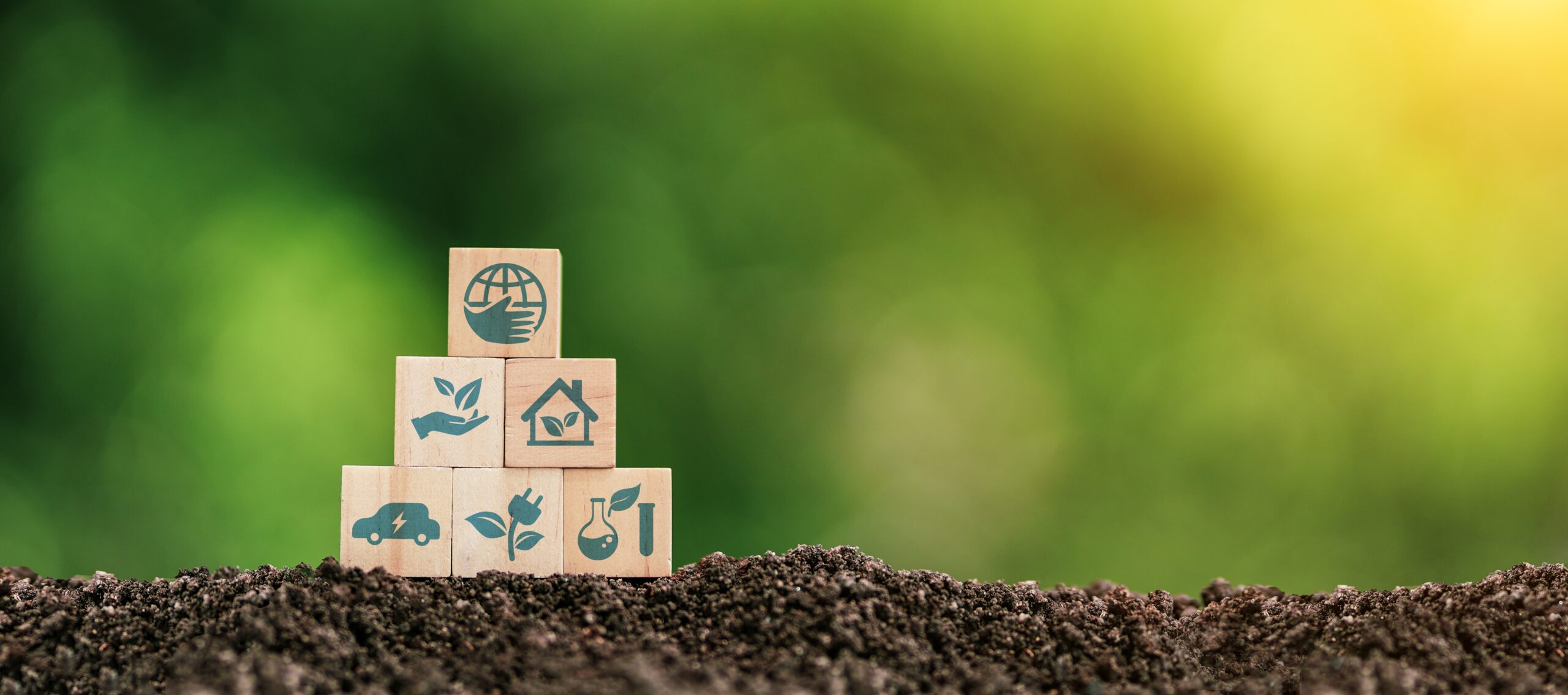 HeavyFinance founder says new sustainability standards will support drive to net zero