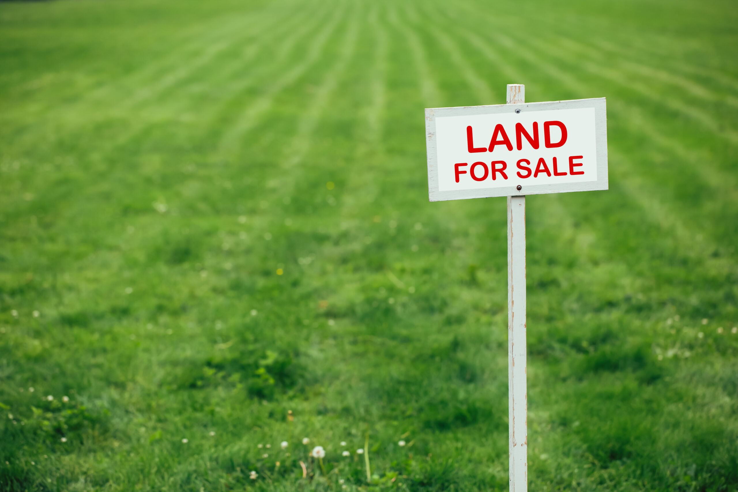 Invest & Fund reacts to Labour's planned development land reforms