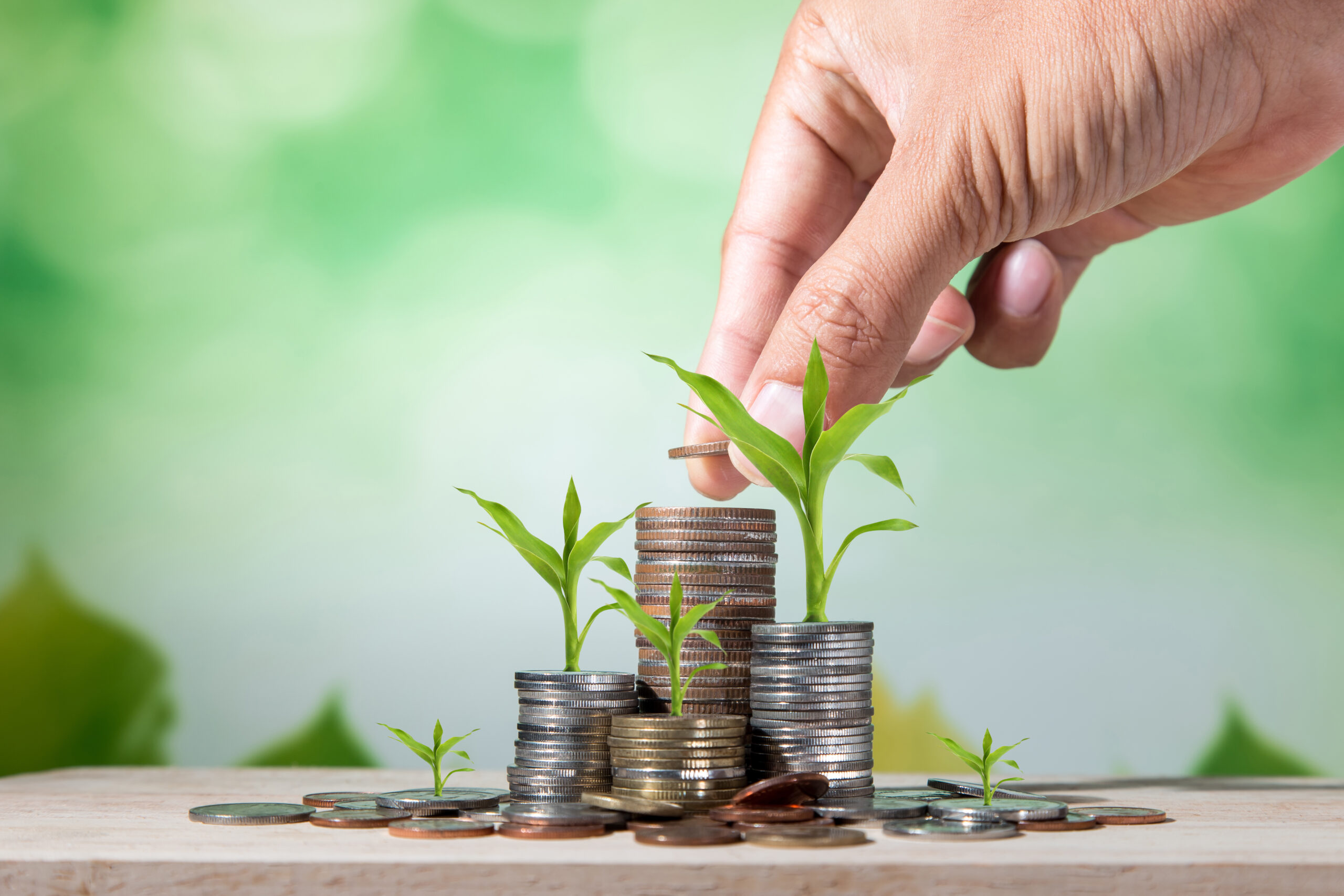 EstateGuru sees rise in lending in May