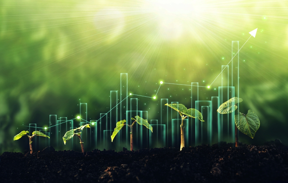 SMEs are still struggling to access sustainable finance, a report has found
