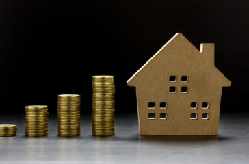 SoMo reports bumper year