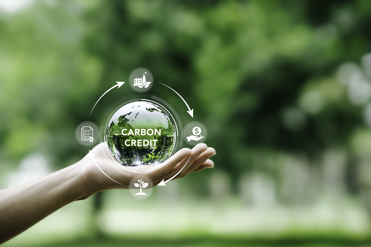 HeavyFinance is set to become one of the largest carbon credit producers in Europe