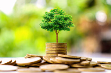 ViaInvest funds €7.3m in August loans