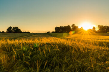 Lande explains seasonality of farming