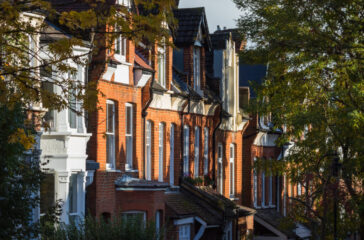 Shojin slams “lacklustre” Autumn Statement