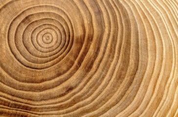 PGIM chief says private credit is maturing despite market challenges