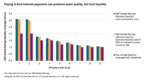 Payment in kind loans