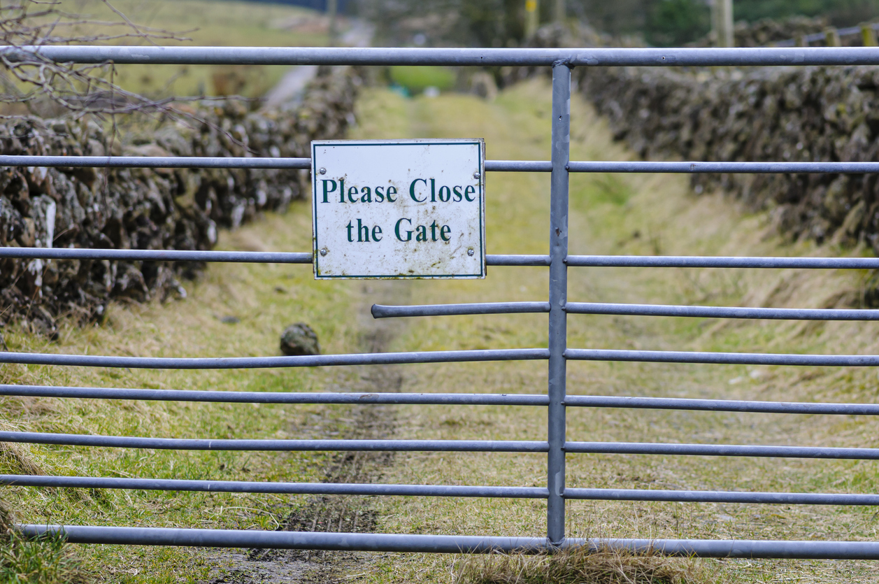 HPS limits private credit fund inflows amid surging demand