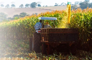 Arrow Global chief eyes opportunities in specialty finance