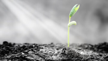 Hive5 reports “remarkable” Q1 growth