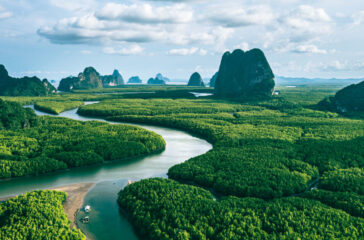 BDCs could lead to "style drift"