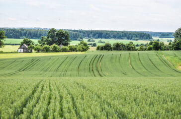 HeavyFinance secures investment from Lithuanian institution