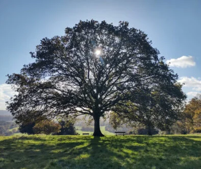 Great America Holdings announces acquisition of CBC Group