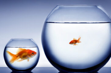 Smaller and more niche private credit funds are capitalising on the challenges facing larger players in the market.