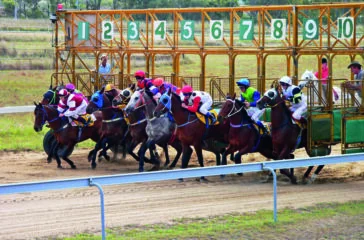Racehorses and jockeys jumping from the barriers starting gates for a race at Ferguson Park racecourse in Gladstone, Queensland, Australia