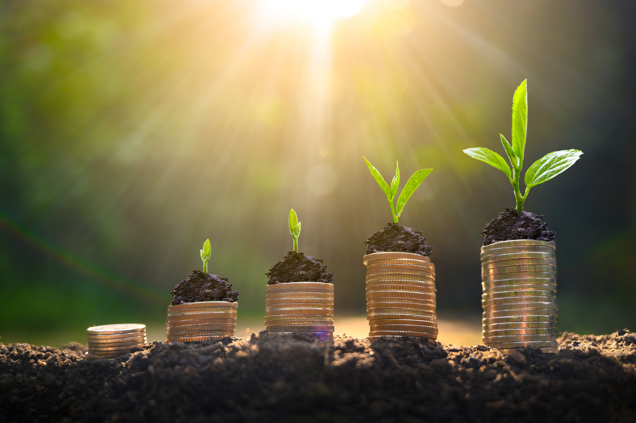 Wealth manager AssetMark has announced it is planning to expand into private markets, with new capabilities expected to launch in the final quarter of 2025.
