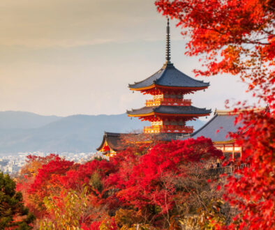 Carlyle and SBI PE Holdings announce partnership Carlyle and SBI PE Holdings announce partnership