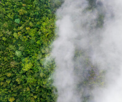 BII and BlueOrchard climate fund