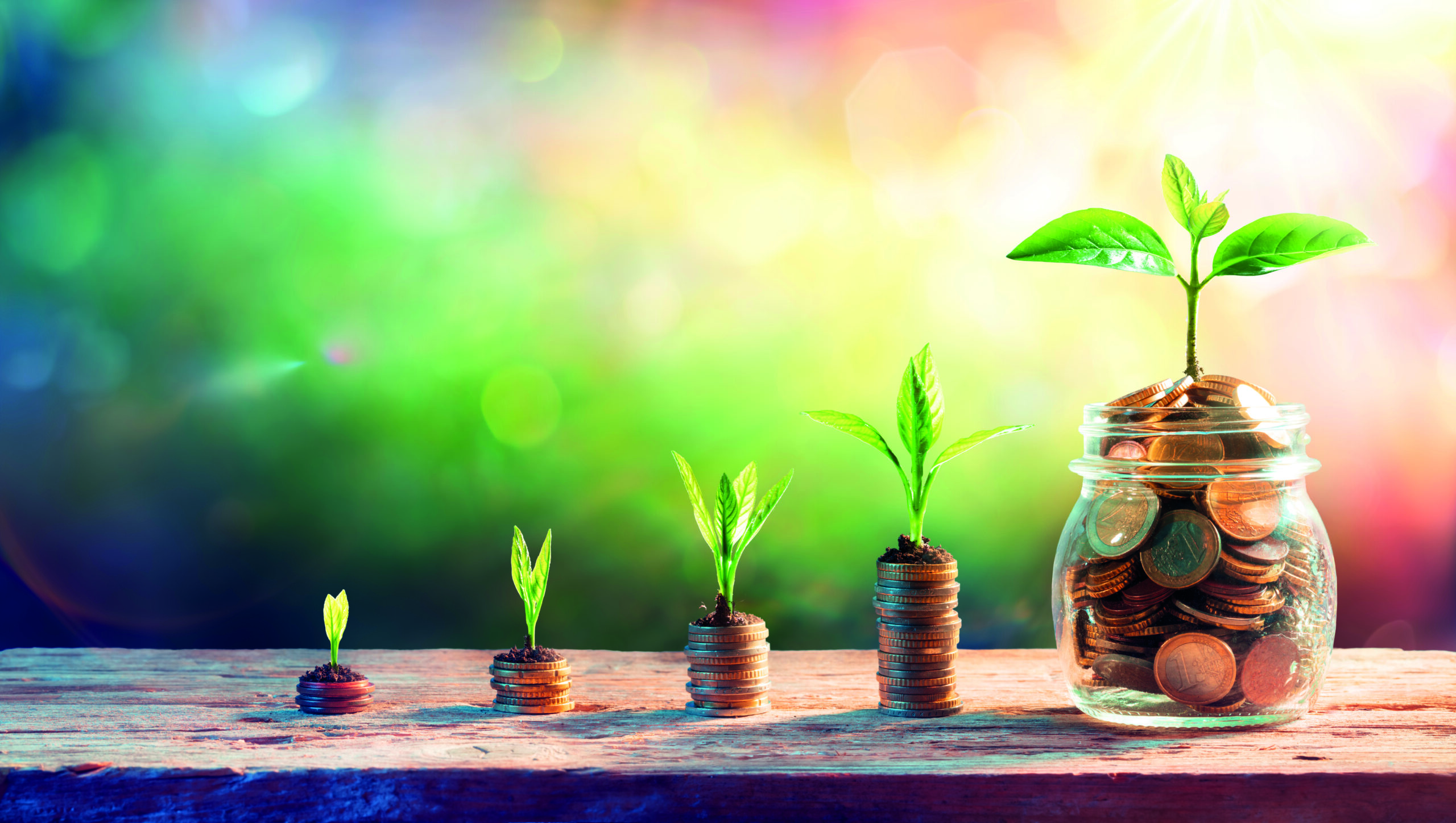 Morgan Stanley IM mulls LTAF