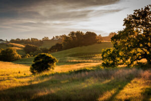 OHA hits record $17.7bn close