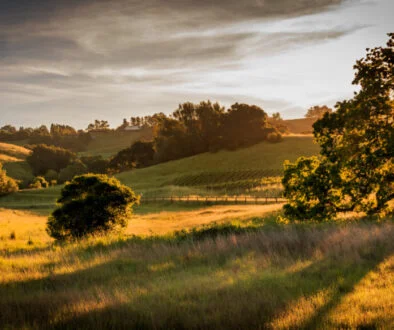 OHA hits record $17.7bn close