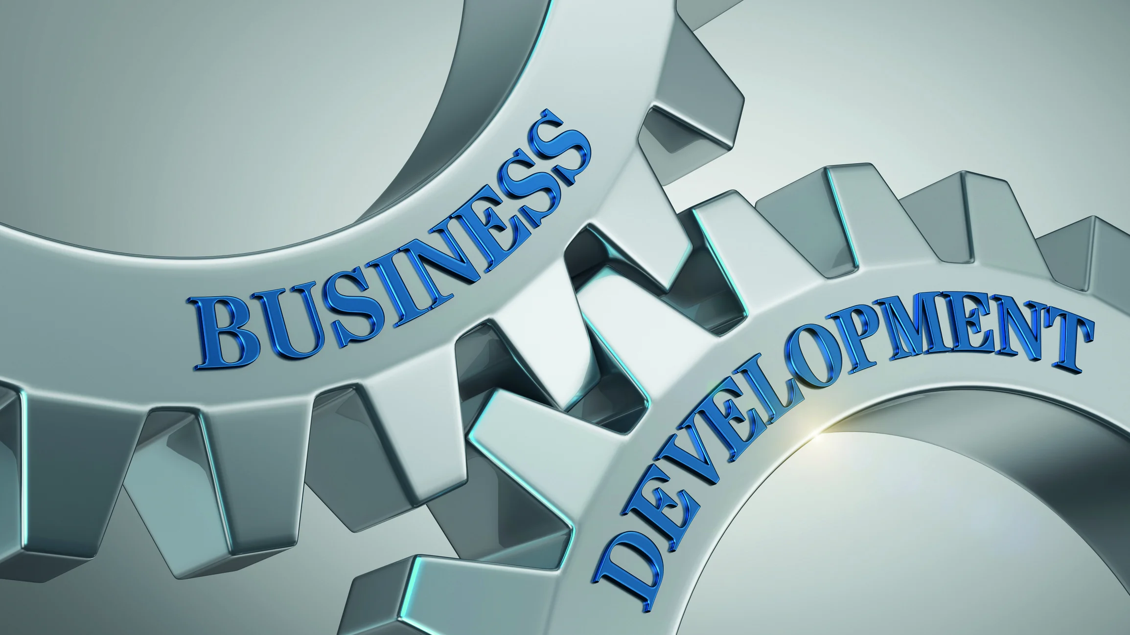 Business development