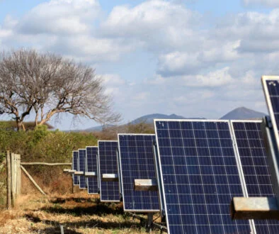 AllianzGI rolls out $1bn climate-focused EM credit fund