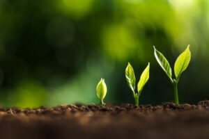 Private credit defaults remain ‘contained’