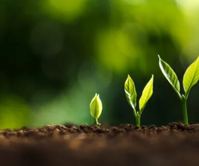 Private credit defaults remain ‘contained’