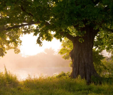 Oaktree makes senior hire