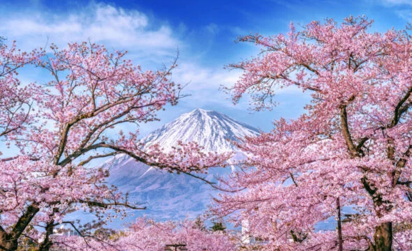 Nomura sees record inflows into alts