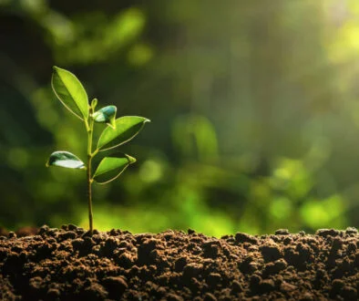 2025 private credit growth driven by LBO comeback