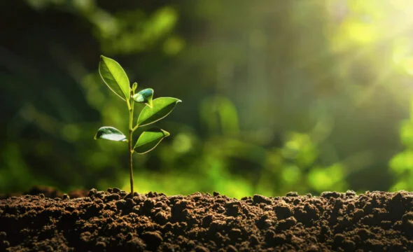 2025 private credit growth driven by LBO comeback